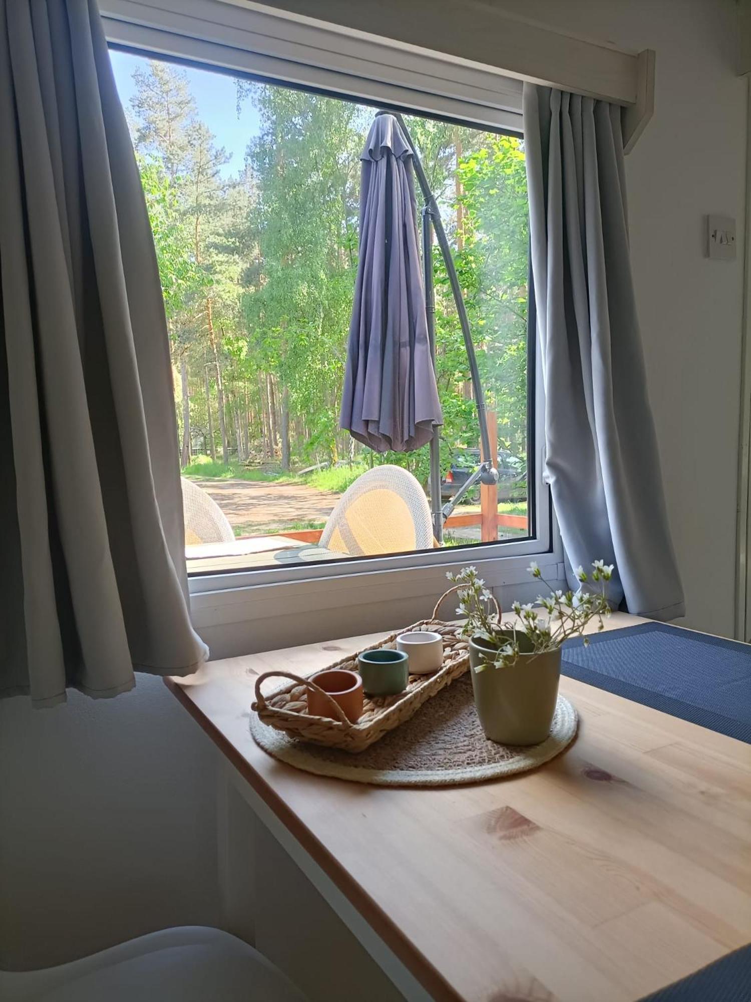 Tinyhaus Idyllisch Am Waldesrand Otel Cottbus Dış mekan fotoğraf