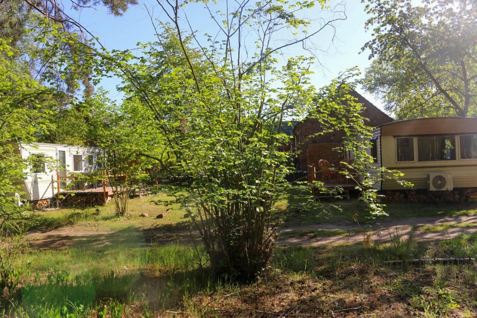 Tinyhaus Idyllisch Am Waldesrand Otel Cottbus Dış mekan fotoğraf